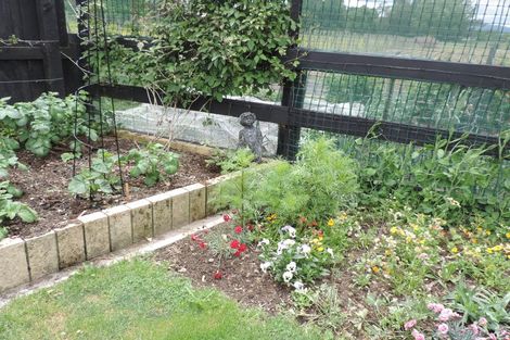 Photo of property in 23 Nikau Place, Matamata, 3400