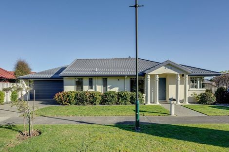 Photo of property in 3 Strawberry Grove, Richmond, 7020