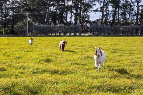 Photo of property in 23 Settlement Road, Morison Bush, Greytown, 5794