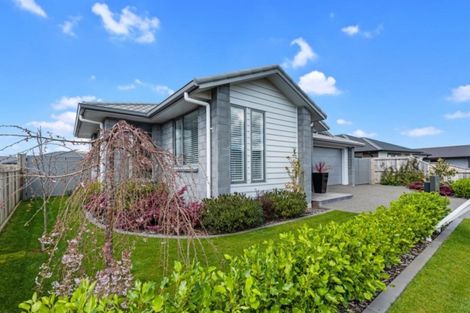 Photo of property in 39 Kahuparere Crescent, Pyes Pa, Tauranga, 3112