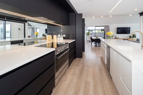 Photo of property in 113 Tarbottons Road, Tinwald, Ashburton, 7700