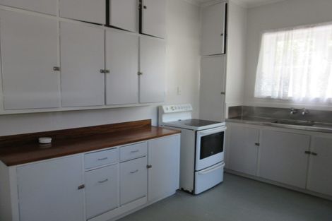 Photo of property in 13 Massey Avenue, Greenlane, Auckland, 1061