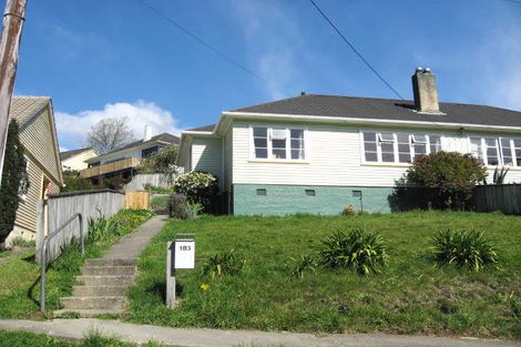 Photo of property in 103 Emano Street, Toi Toi, Nelson, 7010