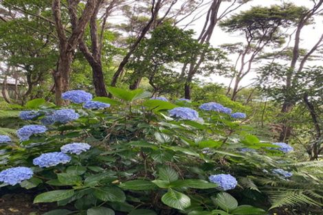 Photo of property in 341 Upper Harbour Drive, Greenhithe, Auckland, 0632