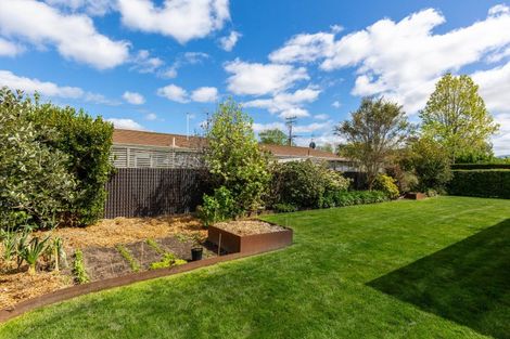 Photo of property in 36a Mclauchlan Street, Springlands, Blenheim, 7201
