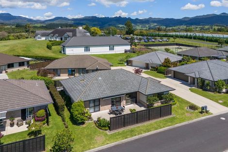 Photo of property in 15/46 Sharp Road, Aongatete, Katikati, 3178
