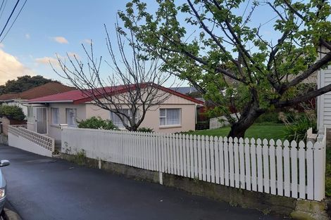 Photo of property in 3 Lerwick Terrace, Melrose, Wellington, 6023