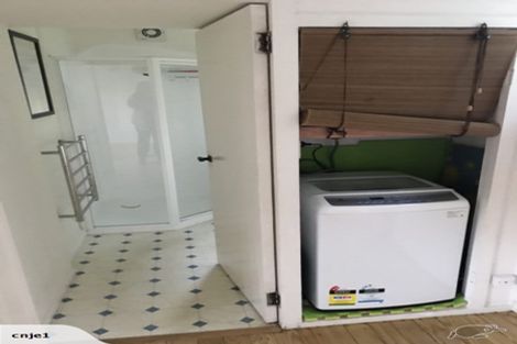 Photo of property in 58c Norway Street, Aro Valley, Wellington, 6012