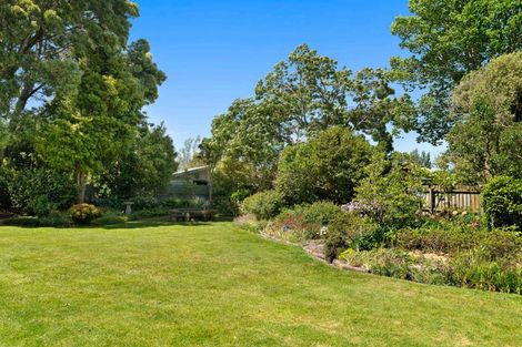 Photo of property in 20-22 King Street, Carterton, 5713