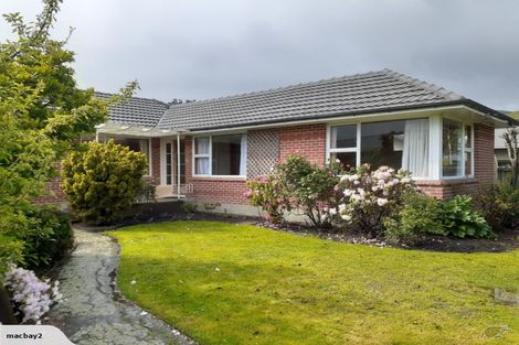 Photo of property in 17 Lascelles Street, Saint Martins, Christchurch, 8022