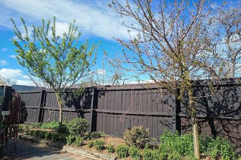 Photo of property in 8 Roberta Drive, Somerfield, Christchurch, 8024