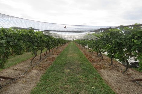 Photo of property in 22 Laings Road, Tinwald, Ashburton, 7775