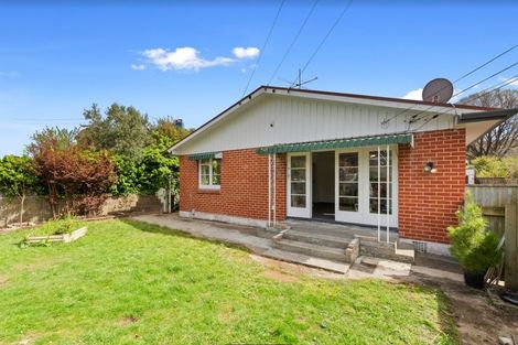 Photo of property in 119 Kings Crescent, Hutt Central, Lower Hutt, 5010