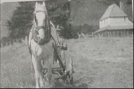 Photo of property in Daisy Hill Farm, 15 Truscott Avenue, Johnsonville, Wellington, 6037