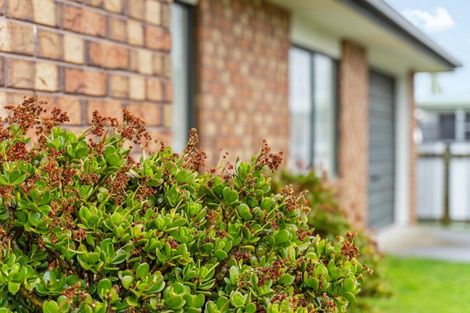 Photo of property in 11b Manson Street, Gate Pa, Tauranga, 3112