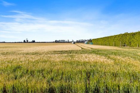 Photo of property in 215 Falvey Road, Levels, Timaru, 7975