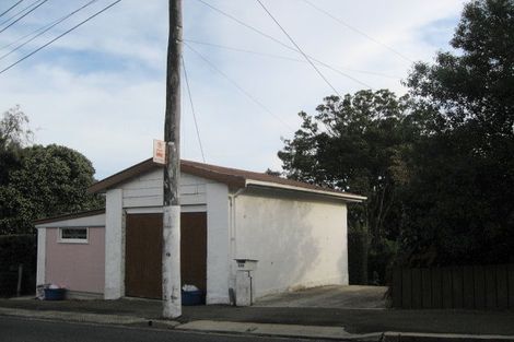 Photo of property in 119 Signal Hill Road, Opoho, Dunedin, 9010