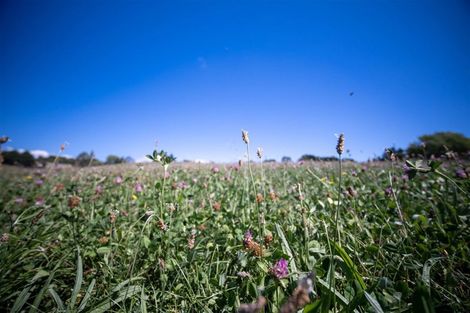 Photo of property in 127 Redwood Valley Road, Redwood Valley, Richmond, 7081