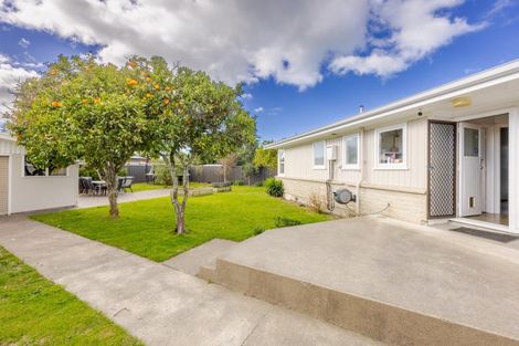 Photo of property in 40 Southwark Avenue, Tamatea, Napier, 4112