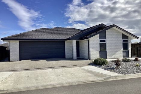Photo of property in 8 Drayton Street, Richmond, 7020