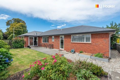 Photo of property in 1a Park Street, Paeroa, 3600