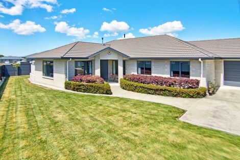Photo of property in 11 Mervyn Brown Place, Solway, Masterton, 5810