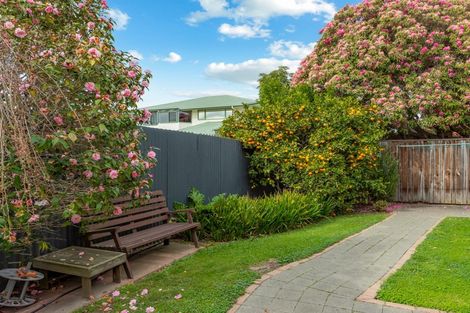 Photo of property in 186a High Street, Blenheim, 7201