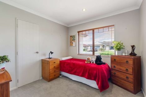 Photo of property in 38 Baltersan Drive, Flat Bush, Auckland, 2016