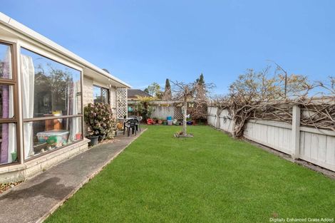 Photo of property in 36b Church Street, Feilding, 4702