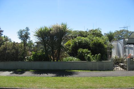 Photo of property in 52 Domain Road, Te Awamutu, 3800