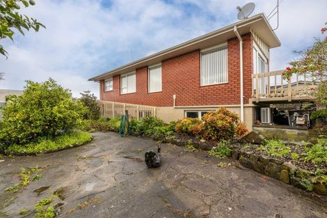 Photo of property in 42 Park Lane, Waitara, 4320