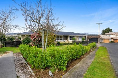 Photo of property in 46 Waimapu Street, Greerton, Tauranga, 3112