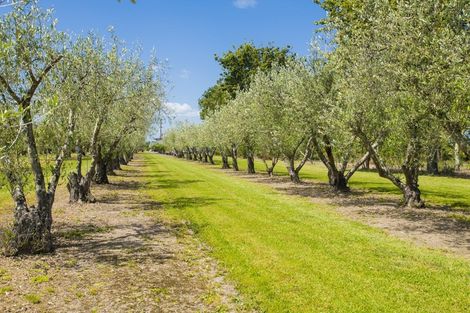 Photo of property in 144 Makaraka Road, Makaraka, Gisborne, 4071