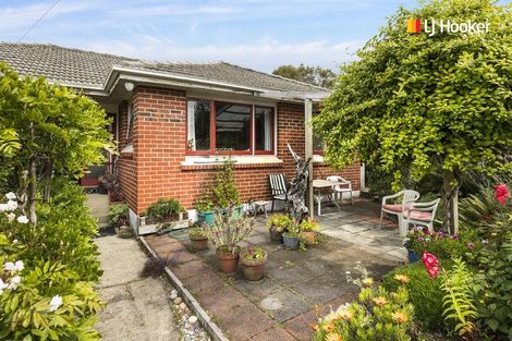 Photo of property in 5 Broomlea Street, Wakari, Dunedin, 9010