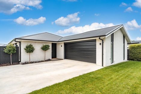 Photo of property in 60 Miro Street, Lansdowne, Masterton, 5810