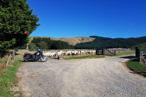 Photo of property in 210 Potts Road, Koputaroa, Levin, 5571