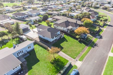 Photo of property in 222 Te Tomo Street, Te Awamutu, 3800