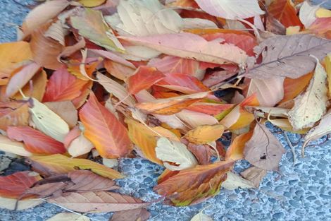 Photo of property in 53 Hawker Street, Mount Victoria, Wellington, 6011