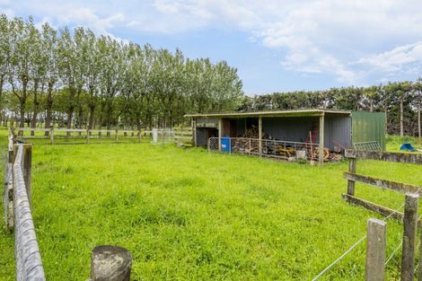 Photo of property in 71 Whelans Road, Levin, 5571