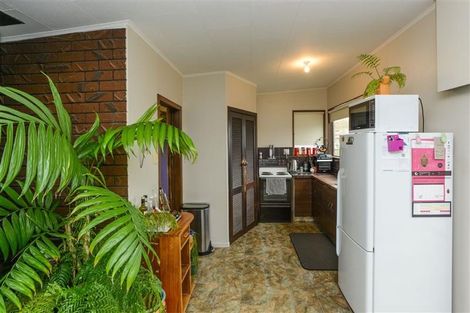 Photo of property in 1006 Konini Street, Mahora, Hastings, 4120