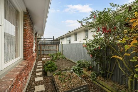 Photo of property in 56 Havelock Street, Ashburton, 7700