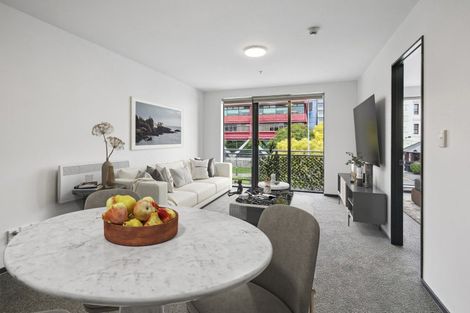 Photo of property in Dual Apartments, 210/142 Vivian Street, Te Aro, Wellington, 6011