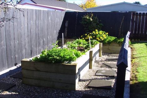 Photo of property in 58 Rodney Street, Nawton, Hamilton, 3200