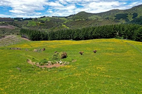 Photo of property in 304b Pigeon Flat Road, Mount Cargill, Waitati, 9085