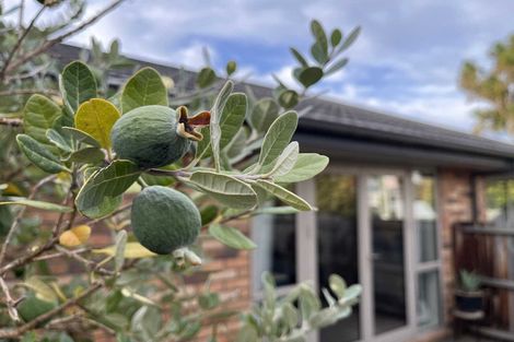 Photo of property in 86a Coronation Street, Spreydon, Christchurch, 8024