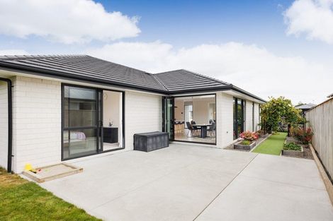 Photo of property in 62 Accolade Street, Maewa, Feilding, 4702