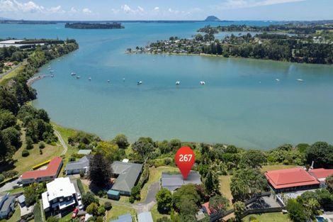 Photo of property in 276 Plummers Point Road, Whakamarama, 3172