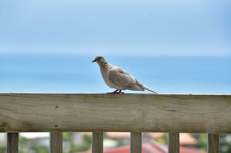 Photo of property in 35a Elliston Crescent, Stanmore Bay, Whangaparaoa, 0932