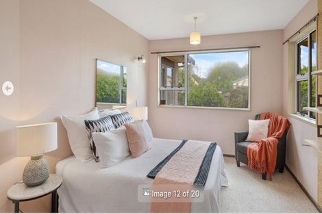 Photo of property in 19 Carruthers Street, Ilam, Christchurch, 8041