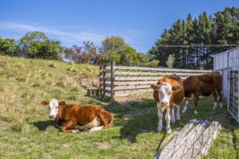 Photo of property in 70 Te Hapua Road, Te Horo, Otaki, 5581